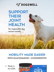 Email Inspiration from Dogswell