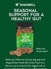 Email Inspiration from Dogswell