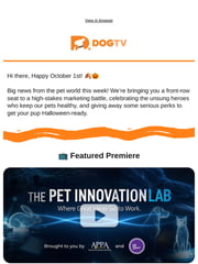Email Inspiration from DOGTV