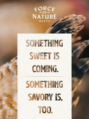 Email Inspiration from Force of Nature