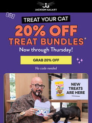 Email Inspiration from Jackson Galaxy