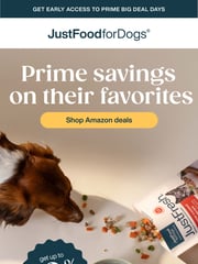 Email Inspiration from JustFoodforDogs