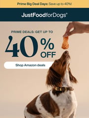 Email Inspiration from JustFoodforDogs