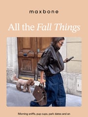Email Inspiration from maxbone