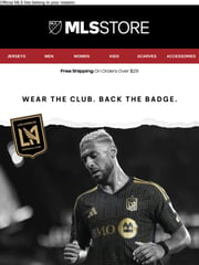 Email Inspiration from MLSStore.com