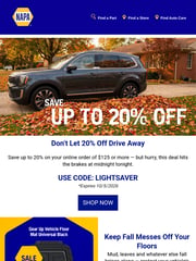 Email Inspiration from NAPA Auto Parts
