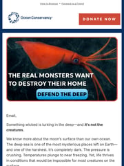 Email Inspiration from Ocean Conservancy