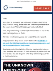 Email Inspiration from Ocean Conservancy