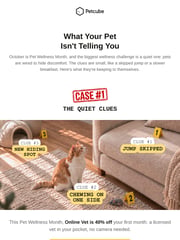 Email Inspiration from Petcube
