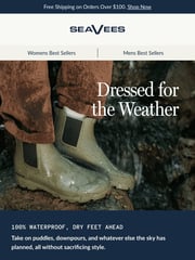 Email Inspiration from SeaVees