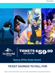 Email Inspiration from SeaWorld Orlando