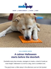 Email Inspiration from SodaPup/True Dogs, LLC