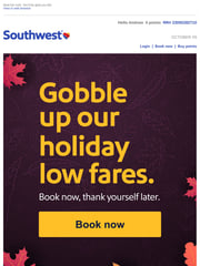 Email Inspiration from Southwest Airlines