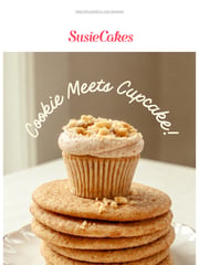 Email Inspiration from SusieCakes