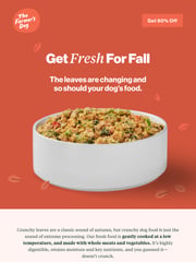 Email Inspiration from The Farmer’s Dog