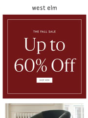 Email Inspiration from West Elm Sale