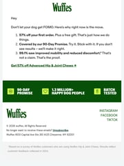 Email Inspiration from Wuffes