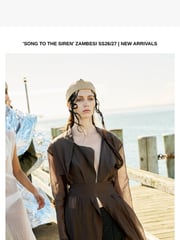 Email Inspiration from Zambesi