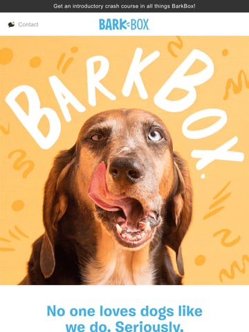 Hey, we’re BarkBox Thumbnail Preview