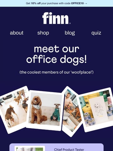 Finn Email Design Thumbnail Preview