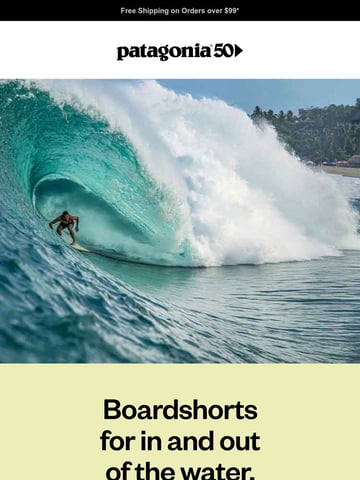 Patagonia Email Design Thumbnail Preview