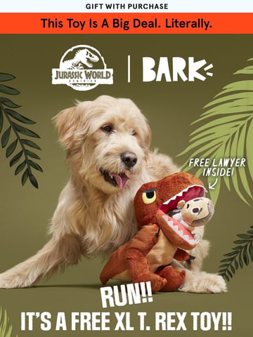 Scout from BarkBox Email Design Thumbnail Preview