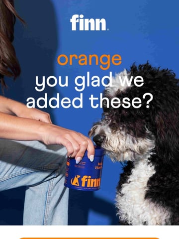 Finn Email Design Thumbnail Preview