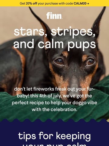 Finn Email Design Thumbnail Preview