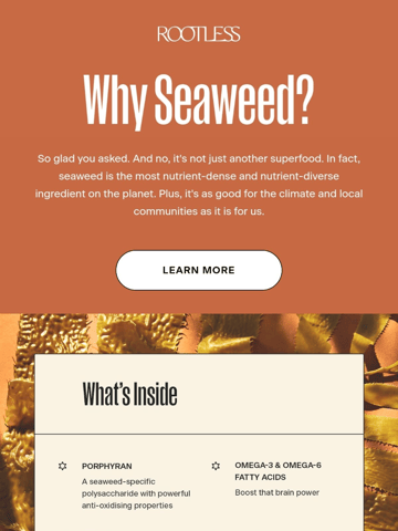 Rootless Email Design Thumbnail Preview