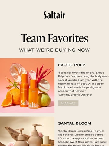 Saltair Email Design Thumbnail Preview