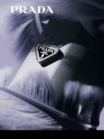 Prada Email Design Thumbnail Preview