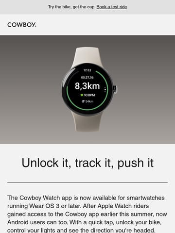 Cowboy Email Design Thumbnail Preview