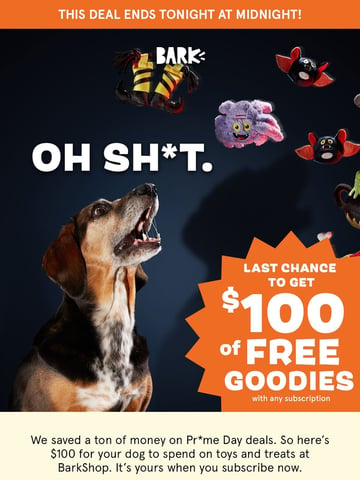Scout from BARK Email Design Thumbnail Preview