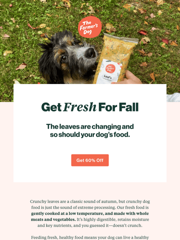 The Farmer’s Dog Email Design Thumbnail Preview