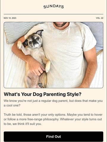 Sundays for Dogs Email Design Thumbnail Preview