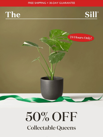 The Sill Email Design Thumbnail Preview