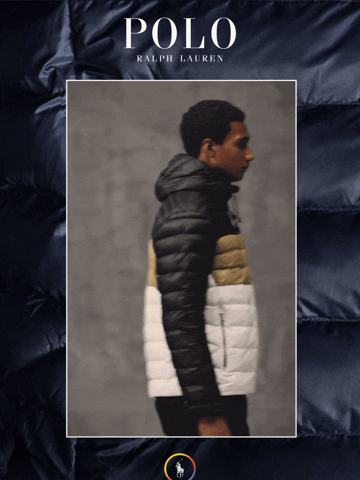 Polo Ralph Lauren Email Design Thumbnail Preview