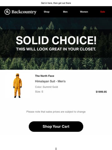 Backcountry Email Design Thumbnail Preview