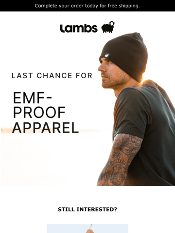 Lambs Email Design Thumbnail Preview