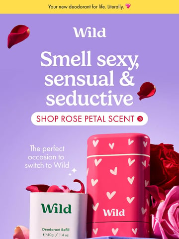 Wild Email Design Thumbnail Preview