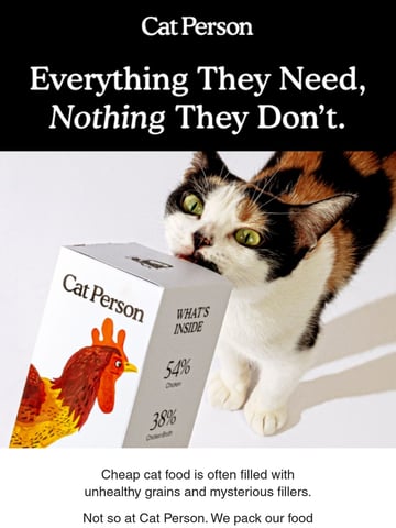 Cat Person Email Design Thumbnail Preview