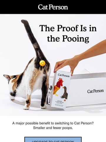Cat Person Email Design Thumbnail Preview