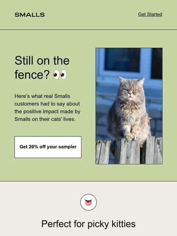 Smalls Email Design Thumbnail Preview