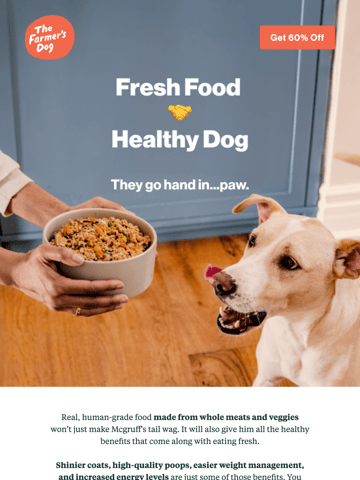 The Farmer’s Dog Email Design Thumbnail Preview