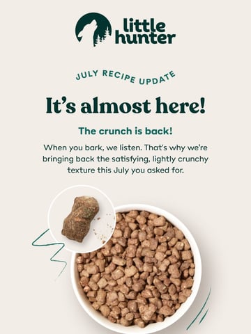 Little Hunter Email Design Thumbnail Preview