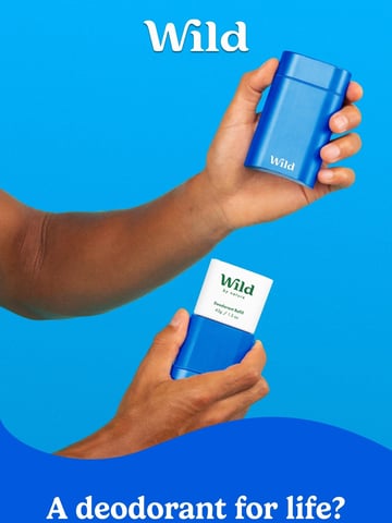 Wild Email Design Thumbnail Preview