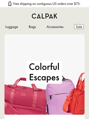 CALPAK Email Design Thumbnail Preview