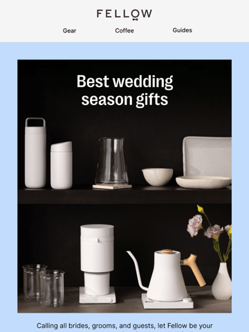 Fellow Email Design Thumbnail Preview