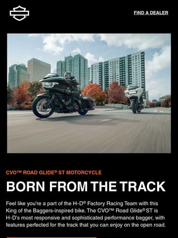 Harley-Davidson Email Design Thumbnail Preview