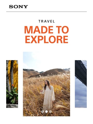 Sony Electronics Email Design Thumbnail Preview